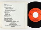 New Wave 45 - Christopher Luke - Reptile - Private - VG++ obscure