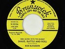Novelty Rocker 45 - Bob McFadden - Shake, Rattle and Roll - Brunswick