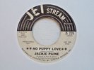 Northern Soul Promo JACKIE PAINE No Puppy Love/USA Jet Stream JS 729