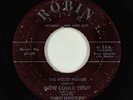 Doo-Wop 45 - Mello-Moods - How Could You? - Robin - rare