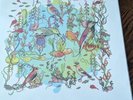 Dreamers - Gentle Side Vinyl ARecord Album - John Zorn - Picture Disc