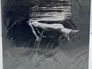 Bill Evans Undercurrent (Record, 2014) Mofi MFSL NEW SEALED