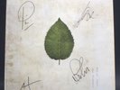 HAND SIGNED PRINT The Boxer Rebellion Colored Vinyl Album Set 4 Albums SEALED