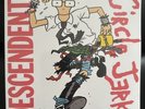 Descendents / Circle Jerks split 7” White vinyl New Sealed