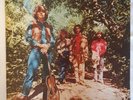 creedence clearwater revival vinyl green river Liberty Lbs 83273.  First Press.