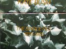 Kate Bush The Single File 1978 - 1983 Box Set  13 x 7