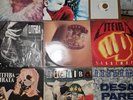 Litfiba LP - dischi 33 - Desaparecido - Pirata - 17 Re - Colpo Di Coda + omaggio