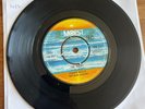Frankie Valli & The Four Seasons 7