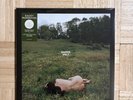 Kacey Musgraves LIMITED EDITION COVER Deeper Well | Transparent Cream Vinyl NEW