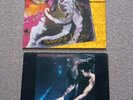 Siouxsie And The Banshees -The Scream - Vinyl LP ( 1978) & Swimming Horses 12