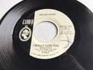 Rare 1965 Soul 45 *Dee Dee Sharp* I Really Love You  Cameo Promo  Beauty