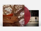 AUTOGRAPHED Waiting to Spill Red Vinyl SIGNED The Backseat Lovers Sealed and New