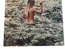 Jay Richford Gary Stevan FEELINGS ORIGINAL Puccio Roelens Stefano Torossi GRAIL