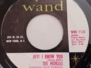 The Monzas Hey I Know You 45 on Wand Records Forever Walks A Drifter Beach Music
