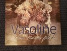 Stone Temple Pilots-Vasoline + 3 (2 live cuts) UK 12