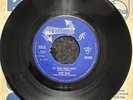 Birds Birds Say Those Magic Words Reaction Original UK 45 591 005 Mod Dancer