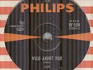 THE MISSING LINKS*WILD ABOUT YOU*GARAGE*ROCK*PHILIPS RECORDS*HEAR IT