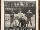 STORMWATCH AT WAR WITH PEACE LP DIM RECORDS BLACK VINYL