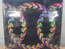 Tool - Lateralus - Vinyl Limited Edition 2x Full Color Picture Disk