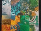 COLOUR HAZE We Are LP stoner psych kyuss qotsa krautrock