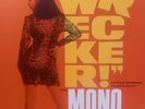 The Mono Men – Wrecker     NM Vinyl LP78
