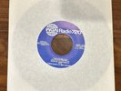 Vintage 1984 Vinyl 45 Record - Go Cubs Go - Steve Goodman & Chicago Cubs Chorus
