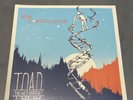Toad the Wet Sprocket New Constellation Double Vinyl LP Record 2014 Sealed