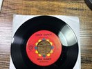 BILL HALEY 45 CHICK SAFARI / HAWK Warner Bros Rocker Rock N Roll Popcorn