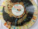 VGM RARE Blossom Tales Vinyl liquid filled. You'll probably not see another one
