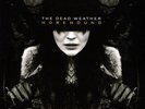 The Dead Weather - Horehound VINYL 2009 TMR-008 JACK WHITE THIRD MAN LP