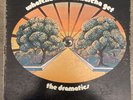 DRAMATICS Whatcha See Is Whatcha Get *MONO PROMO* ORIG 1971 Vinyl LP GRAIL RARE