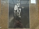 The Suicide Twins – Silver Missiles And Nightingales LP 1986 PVC Records VG/VG+