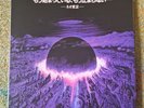 Al Divino & Estee Nack - Akira On Acid Clear/Violet Vinyl Ltd 100 Fxck Rxp 2019