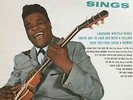 Freddie King Freddy King Sings NEAR MINT King Records Vinyl LP