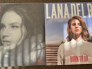 Born To Die by Lana Del Rey Exclusive Red Colored/ DYKTTIATUOB -Target Exclusive
