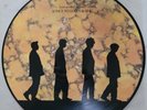 Echo and the Bunnymen - Songs To Learn And Sing - Limited Edition Picture Disc
