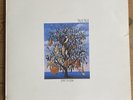Talk Talk - Spirit of Eden vinyl LP PCSD 105 1988 EX COND
