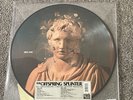 The Offspring - Splinter - Vinyl LP Die Cut Picture Disc RSD 2024 - NEW