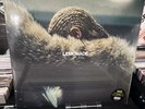 Lemonade by Beyonce (Record, 2017)