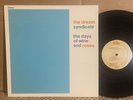 Dream Syndicate Days Of Wine And Roses EX RUBY indie alt rock underground psych