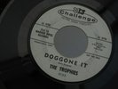 CHALLENGE 9133 DOO WOP THE TROPHIES DOGGONE IT DESIRE RICK NELSON CAMPBELL