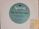 Bjork Big Time Sensuality Remixes Indie Pop Progressive House 1993 0-66244