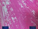 Tuxedomoon - Desire 1981 LP, Album, Unofficial Celluloid, Ralph Records CEL 6582
