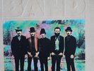 RARE COVER THE BAND VINTAGE VINYL LP LEVON HELM THE WEIGHT DIXIE DOWN CRIPPLE C.