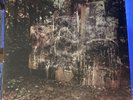 La Dispute- Wildlife Grey/Clear Colored Vinyl Record (2011, 2xLP)