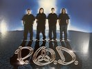 P.O.D. - Satellite (2xLP, Album, RE) (Near Mint (NM or M-))