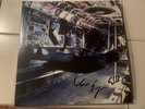 VAMPIRE WEEKEND SIGNED /autographed,, ONLY GOD WAS ABOVE US LP VINYL INDIE COVE