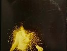 Wolf Alice – My Love Is Cool – USED Vinyl 2LP