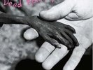 Dead Kennedys - PLASTIC SURGERY DISASTERS (PURPLE VINYL) - PUNK *COLOR*