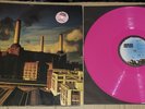 PINK FLOYD  animals  LP  1978  Germany  Pink Vinyl  Dutch Matrix 5C